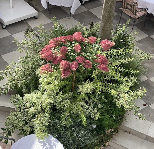 Imitation pierre de taille restaurant Paris