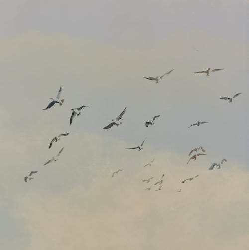 Panoramique avec paysage et animaux, fresque paysage