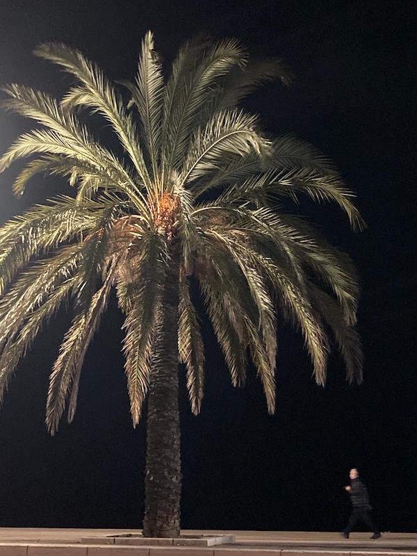 Peintre en lettre, lettrage peint